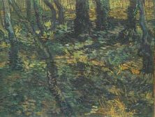 Haga click para ver la imagen ampliada 1889 lierre en sous-bois.jpg